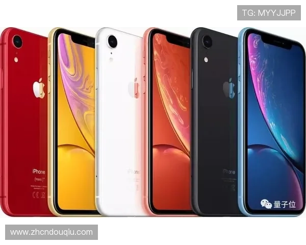 iPhone用户如何通过官方渠道安全下载斗球app的详细操作流程